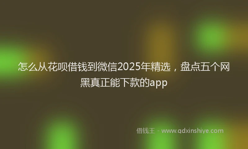 怎么从花呗借钱到微信2025年精选，盘点五个网黑真正能下款的app