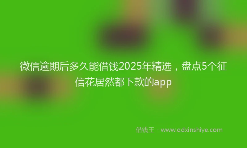 微信逾期后多久能借钱2025年精选，盘点5个征信花居然都下款的app