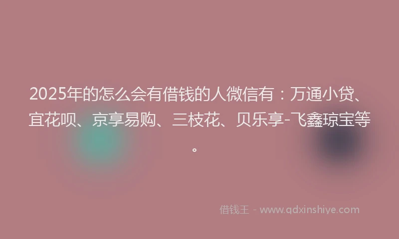 2025年的怎么会有借钱的人微信有：万通小贷、宜花呗、京享易购、三枝花、贝乐享-飞鑫琼宝等。
