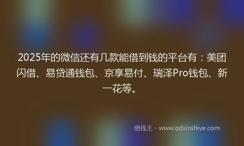 2025年的微信还有几款能借到钱的平台有：美团闪借、易贷通钱包、京享易付、瑞泽Pro钱包、新一花等。