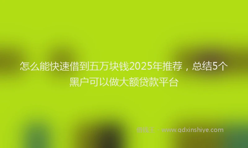 怎么能快速借到五万块钱2025年推荐，总结5个黑户可以做大额贷款平台