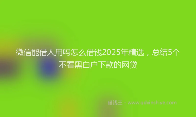 微信能借人用吗怎么借钱2025年精选，总结5个不看黑白户下款的网贷