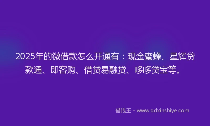 2025年的微借款怎么开通有：现金蜜蜂、星辉贷款通、即客购、借贷易融贷、哆哆贷宝等。