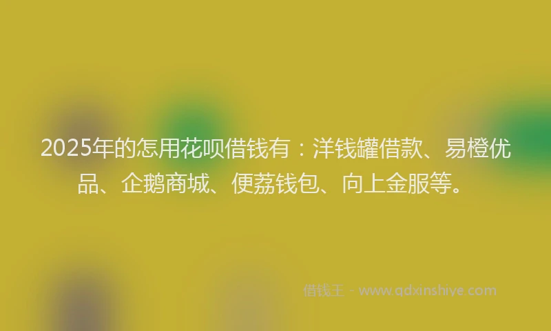 2025年的怎用花呗借钱有：洋钱罐借款、易橙优品、企鹅商城、便荔钱包、向上金服等。