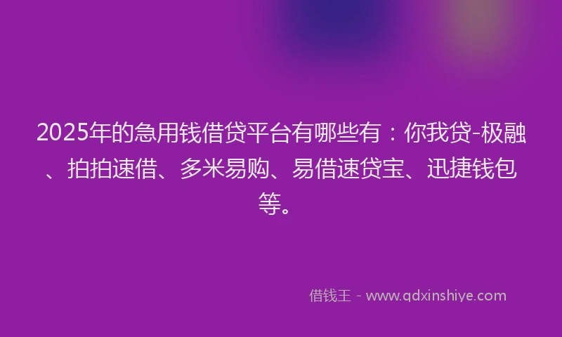 2025年的急用钱借贷平台有哪些有:你我贷-极融、拍拍速借、多米易购、易借速贷宝、迅捷钱包等。
