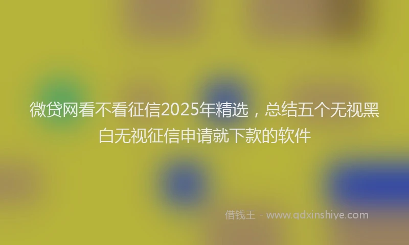 微贷网看不看征信2025年精选，总结五个无视黑白无视征信申请就下款的软件