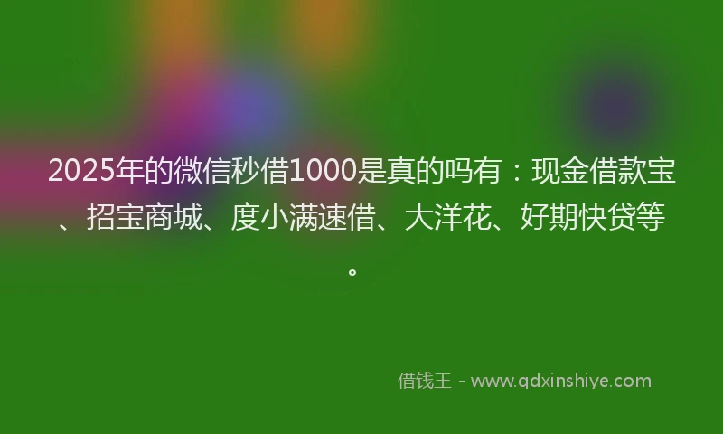 2025年的微信秒借1000是真的吗有：现金借款宝、招宝商城、度小满速借、大洋花、好期快贷等。