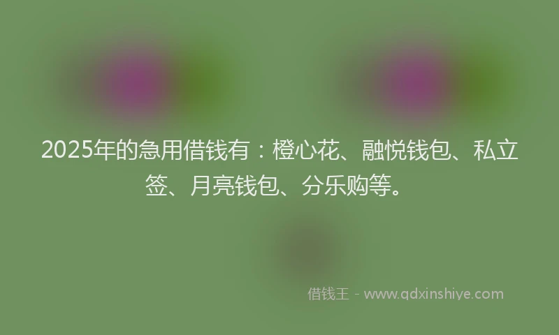 2025年的急用借钱有：橙心花、融悦钱包、私立签、月亮钱包、分乐购等。