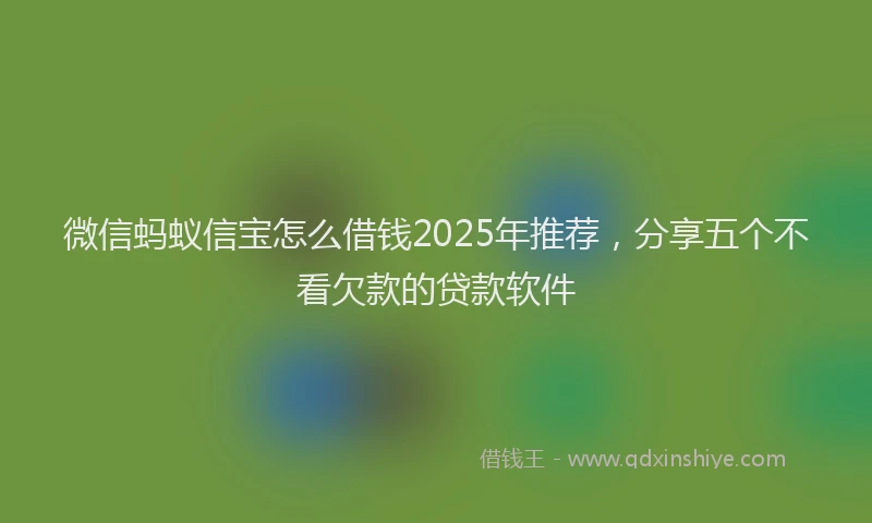 微信蚂蚁信宝怎么借钱2025年推荐，分享五个不看欠款的贷款软件