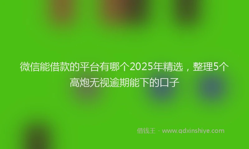 微信能借款的平台有哪个2025年精选，整理5个高炮无视逾期能下的口子