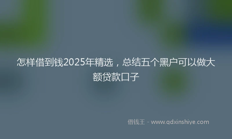 怎样借到钱2025年精选，总结五个黑户可以做大额贷款口子