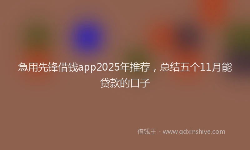 急用先锋借钱app2025年推荐，总结五个11月能贷款的口子