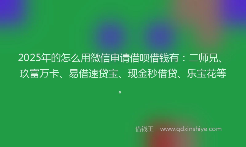 2025年的怎么用微信申请借呗借钱有：二师兄、玖富万卡、易借速贷宝、现金秒借贷、乐宝花等。