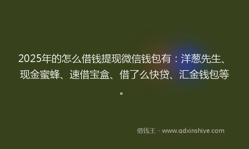 2025年的怎么借钱提现微信钱包有：洋葱先生、现金蜜蜂、速借宝盒、借了么快贷、汇金钱包等。