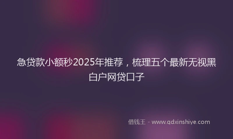 急贷款小额秒2025年推荐，梳理五个最新无视黑白户网贷口子