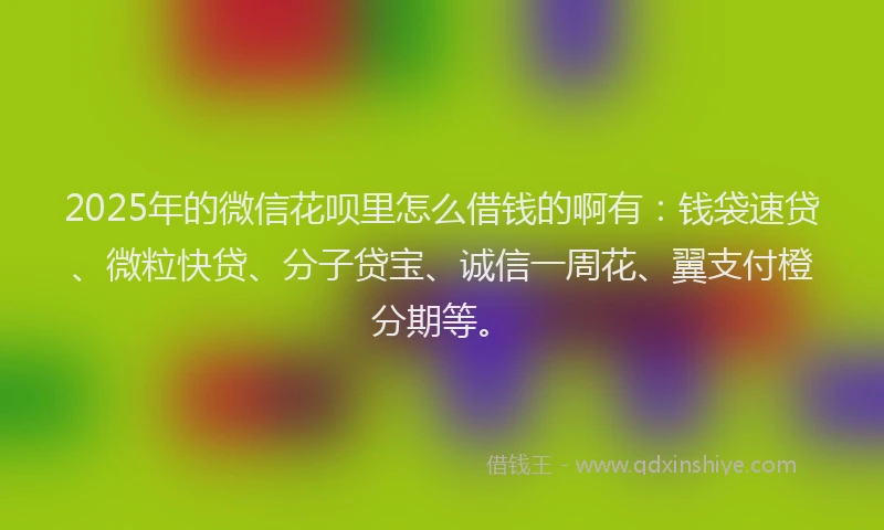 2025年的微信花呗里怎么借钱的啊有：钱袋速贷、微粒快贷、分子贷宝、诚信一周花、翼支付橙分期等。