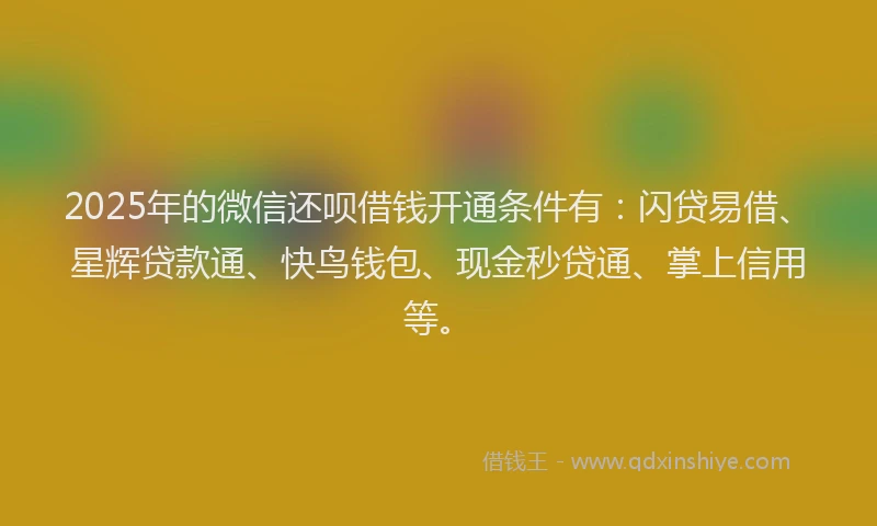 2025年的微信还呗借钱开通条件有：闪贷易借、星辉贷款通、快鸟钱包、现金秒贷通、掌上信用等。