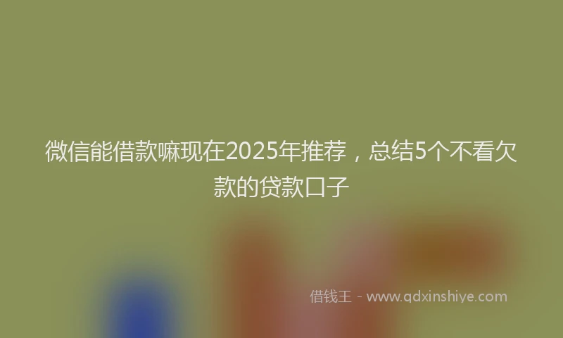 微信能借款嘛现在2025年推荐，总结5个不看欠款的贷款口子