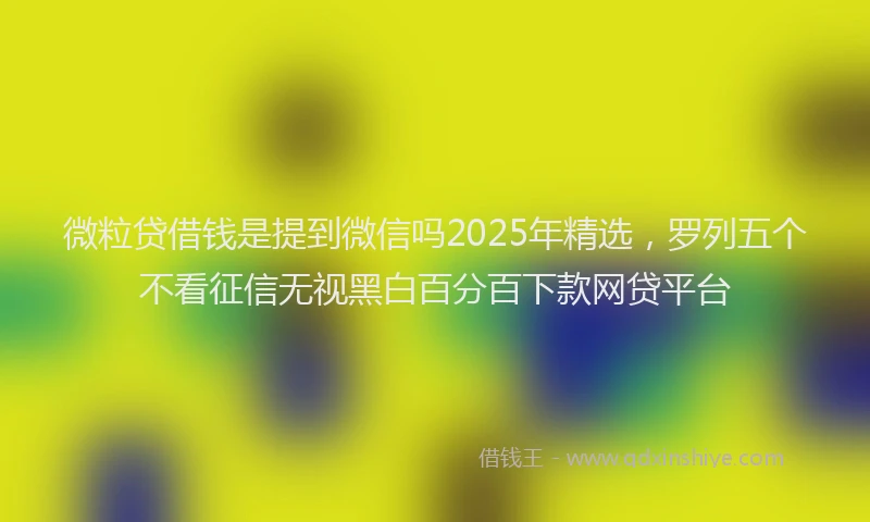 微粒贷借钱是提到微信吗2025年精选，罗列五个不看征信无视黑白百分百下款网贷平台