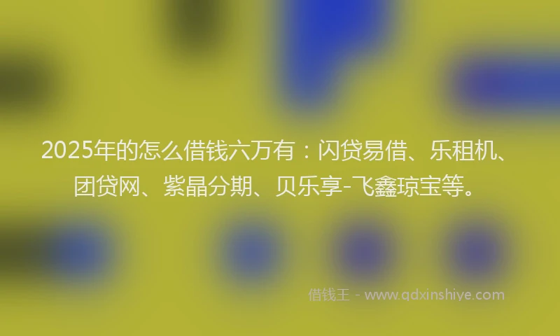 2025年的怎么借钱六万有：闪贷易借、乐租机、团贷网、紫晶分期、贝乐享-飞鑫琼宝等。