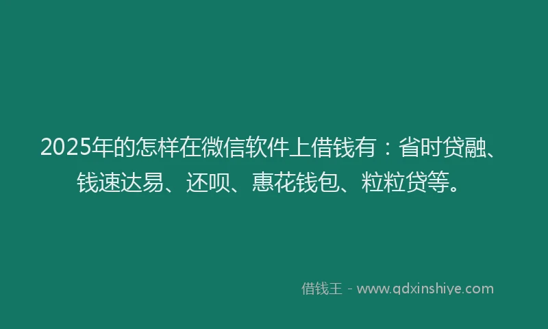 2025年的怎样在微信软件上借钱有：省时贷融、钱速达易、还呗、惠花钱包、粒粒贷等。