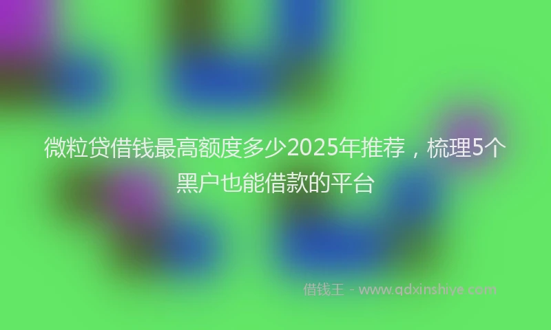 微粒贷借钱最高额度多少2025年推荐，梳理5个黑户也能借款的平台