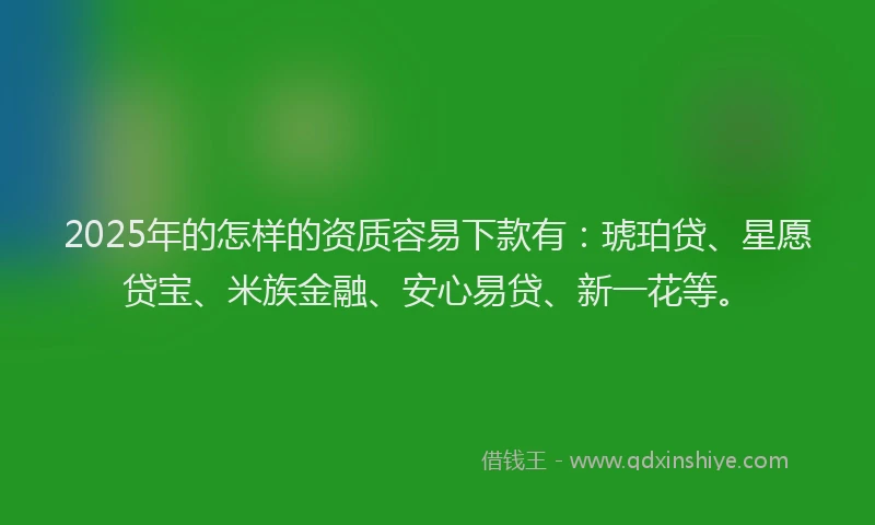 2025年的怎样的资质容易下款有：琥珀贷、星愿贷宝、米族金融、安心易贷、新一花等。