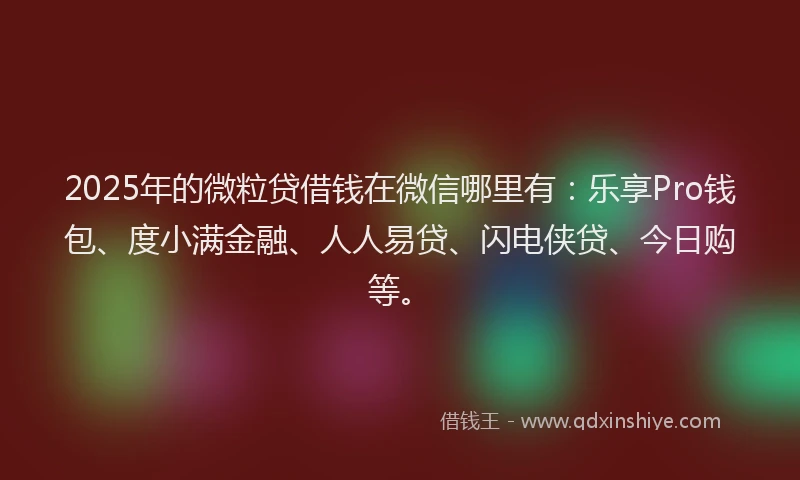 2025年的微粒贷借钱在微信哪里有：乐享Pro钱包、度小满金融、人人易贷、闪电侠贷、今日购等。