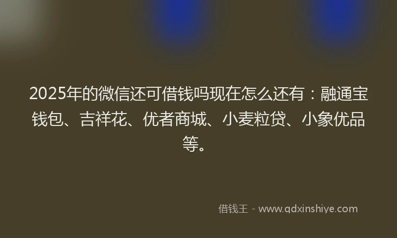 2025年的微信还可借钱吗现在怎么还有：融通宝钱包、吉祥花、优者商城、小麦粒贷、小象优品等。