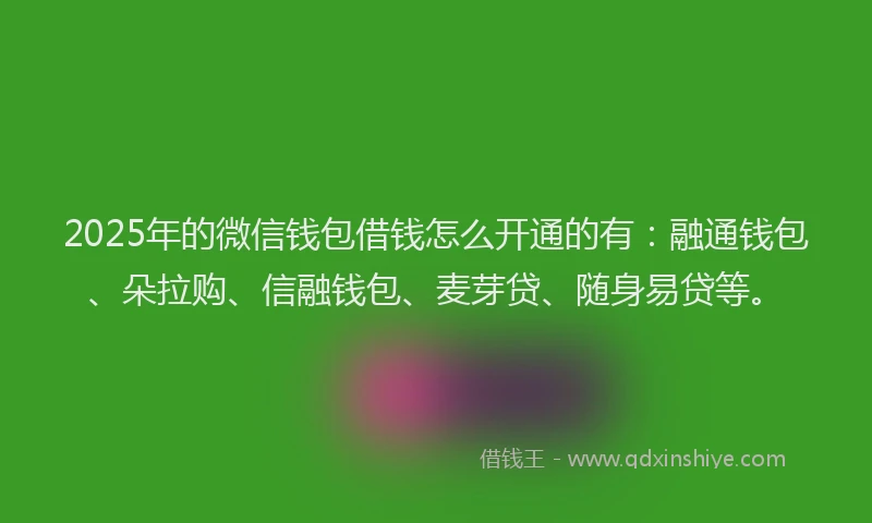 2025年的微信钱包借钱怎么开通的有：融通钱包、朵拉购、信融钱包、麦芽贷、随身易贷等。