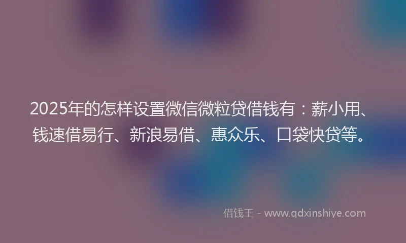 2025年的怎样设置微信微粒贷借钱有：薪小用、钱速借易行、新浪易借、惠众乐、口袋快贷等。