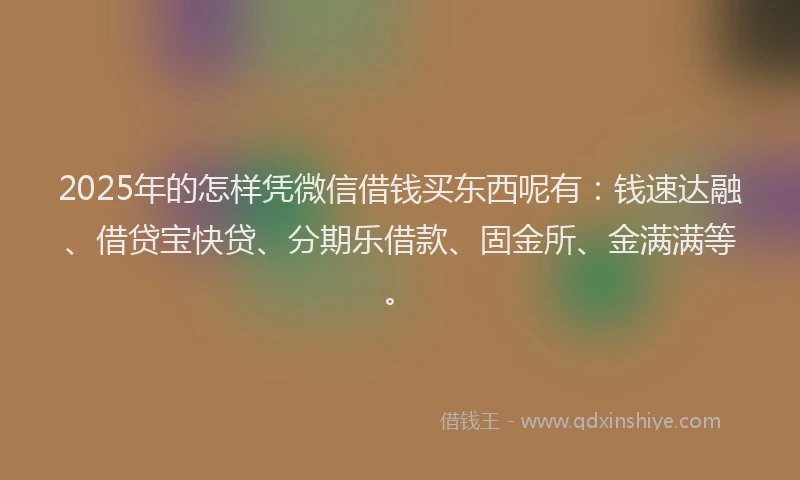 2025年的怎样凭微信借钱买东西呢有：钱速达融、借贷宝快贷、分期乐借款、固金所、金满满等。