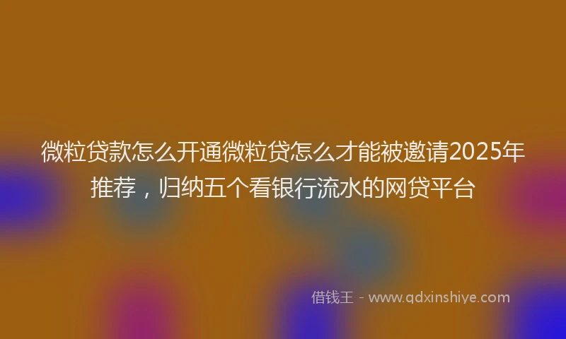 微粒贷款怎么开通微粒贷怎么才能被邀请2025年推荐，归纳五个看银行流水的网贷平台