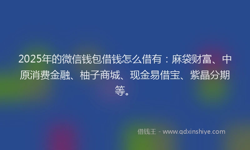 2025年的微信钱包借钱怎么借有：麻袋财富、中原消费金融、柚子商城、现金易借宝、紫晶分期等。
