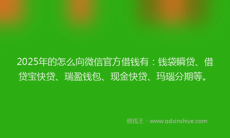 2025年的怎么向微信官方借钱有：钱袋瞬贷、借贷宝快贷、瑞盈钱包、现金快贷、玛瑙分期等。