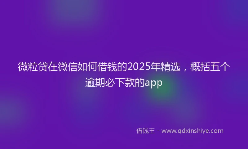 微粒贷在微信如何借钱的2025年精选，概括五个逾期必下款的app