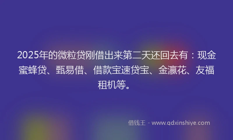2025年的微粒贷刚借出来第二天还回去有：现金蜜蜂贷、甄易借、借款宝速贷宝、金瀛花、友福租机等。