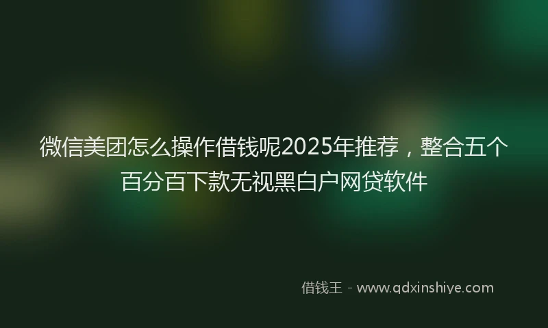 微信美团怎么操作借钱呢2025年推荐，整合五个百分百下款无视黑白户网贷软件