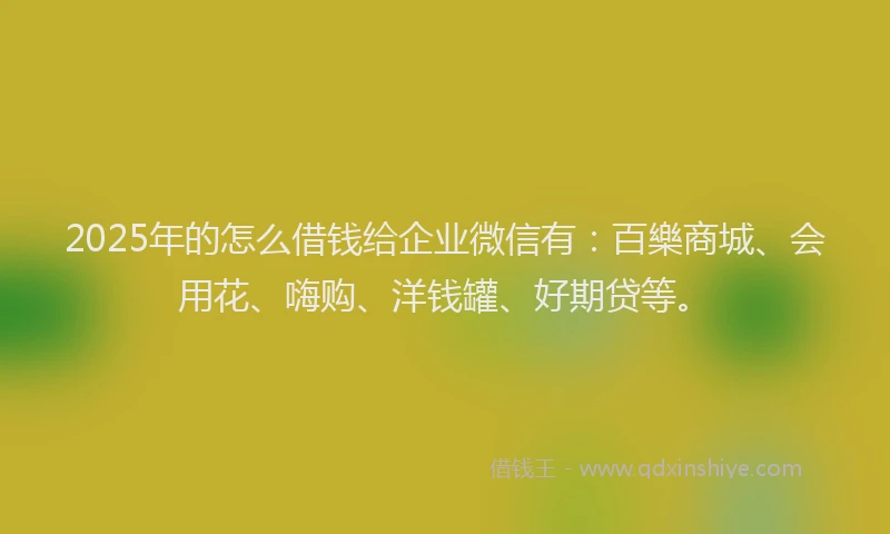 2025年的怎么借钱给企业微信有：百樂商城、会用花、嗨购、洋钱罐、好期贷等。