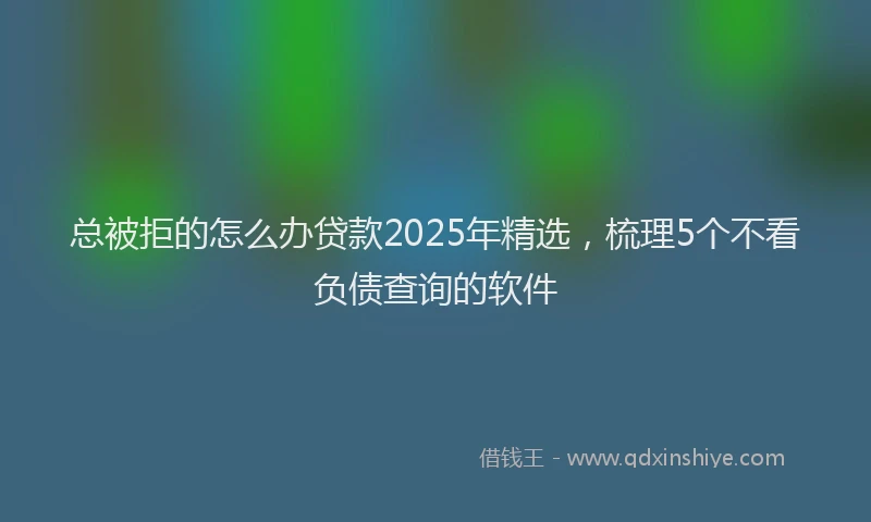 总被拒的怎么办贷款2025年精选，梳理5个不看负债查询的软件