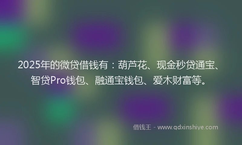 2025年的微贷借钱有：葫芦花、现金秒贷通宝、智贷Pro钱包、融通宝钱包、爱木财富等。