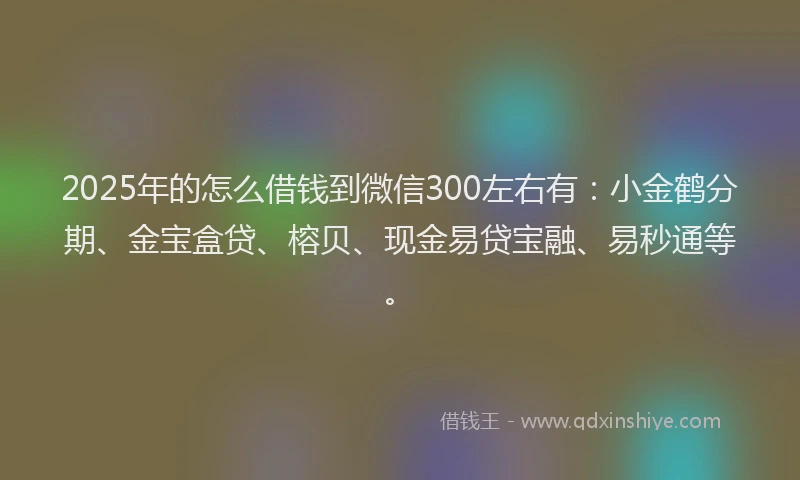 2025年的怎么借钱到微信300左右有：小金鹤分期、金宝盒贷、榕贝、现金易贷宝融、易秒通等。