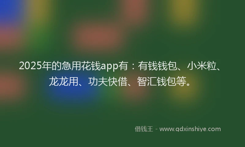 2025年的急用花钱app有：有钱钱包、小米粒、龙龙用、功夫快借、智汇钱包等。