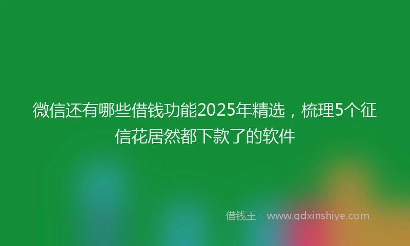 微信还有哪些借钱功能2025年精选，梳理5个征信花居然都下款了的软件