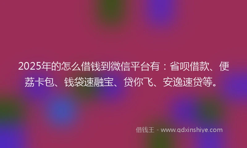 2025年的怎么借钱到微信平台有：省呗借款、便荔卡包、钱袋速融宝、贷你飞、安逸速贷等。