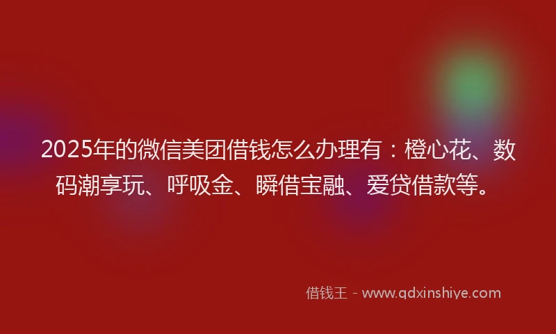 2025年的微信美团借钱怎么办理有：橙心花、数码潮享玩、呼吸金、瞬借宝融、爱贷借款等。