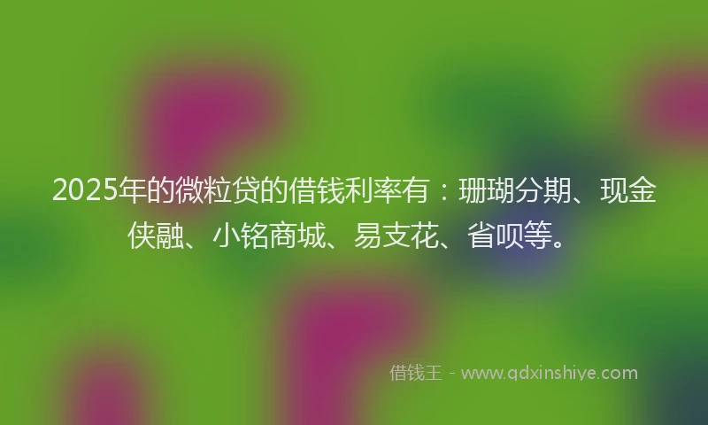 2025年的微粒贷的借钱利率有：珊瑚分期、现金侠融、小铭商城、易支花、省呗等。