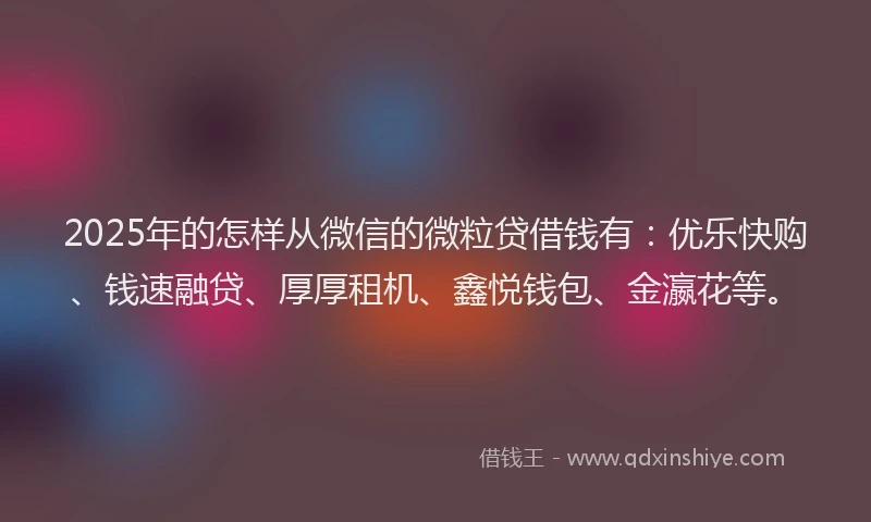 2025年的怎样从微信的微粒贷借钱有：优乐快购、钱速融贷、厚厚租机、鑫悦钱包、金瀛花等。