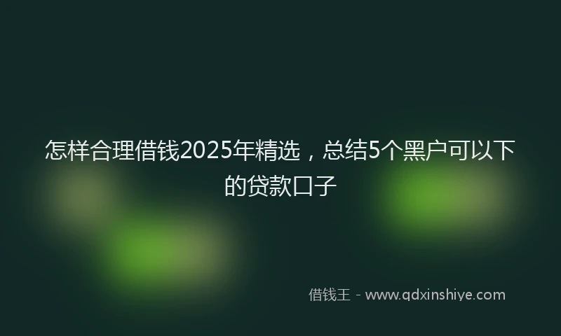 怎样合理借钱2025年精选，总结5个黑户可以下的贷款口子