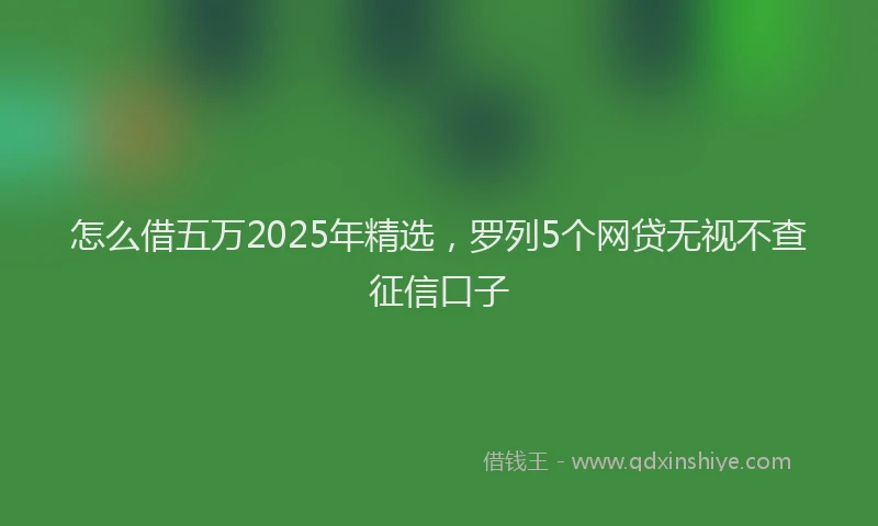 怎么借五万2025年精选，罗列5个网贷无视不查征信口子